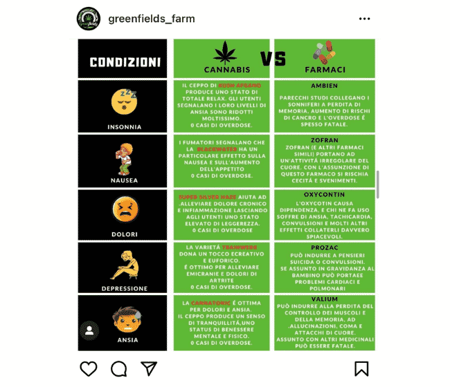 post instagram di greenfields farm sulla comparazione di cannabis e farmaci per condizioni patologiche